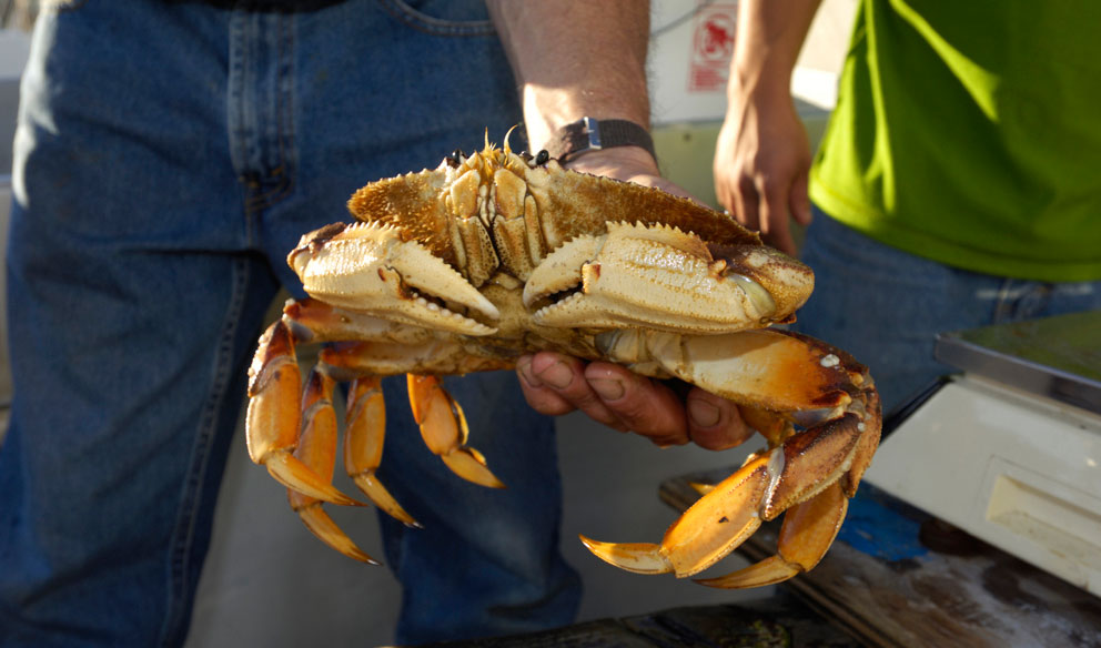 image-chapter-6706-0-22-1