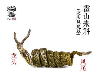 image-chapter-1878209-0-9