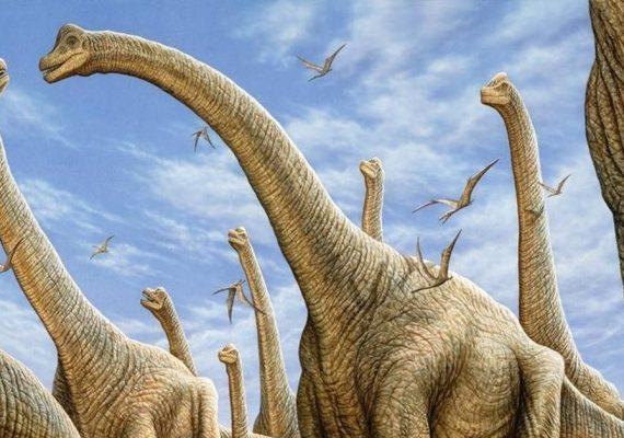 image-chapter-1889347-0-117