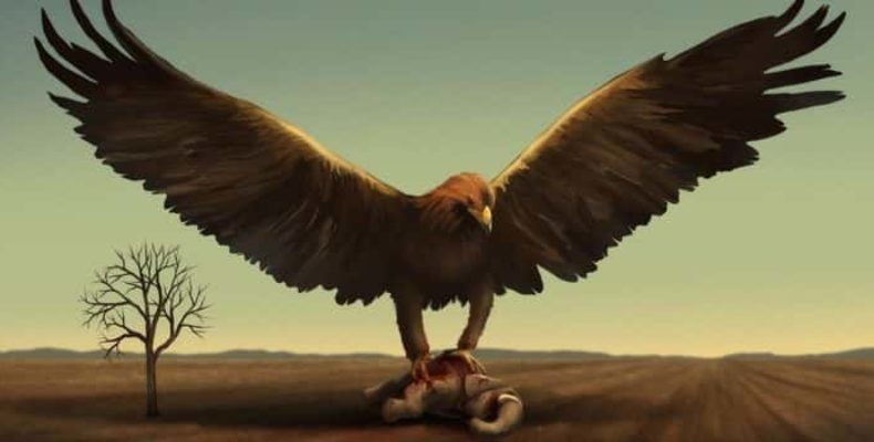 image-chapter-28381-0-192